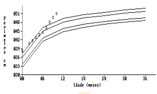 Gráfico 1 - Crescimento da cabeça de um paciente: até os 11 meses de idade