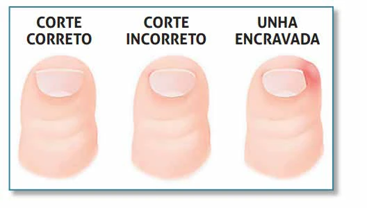 Ilustração do livro